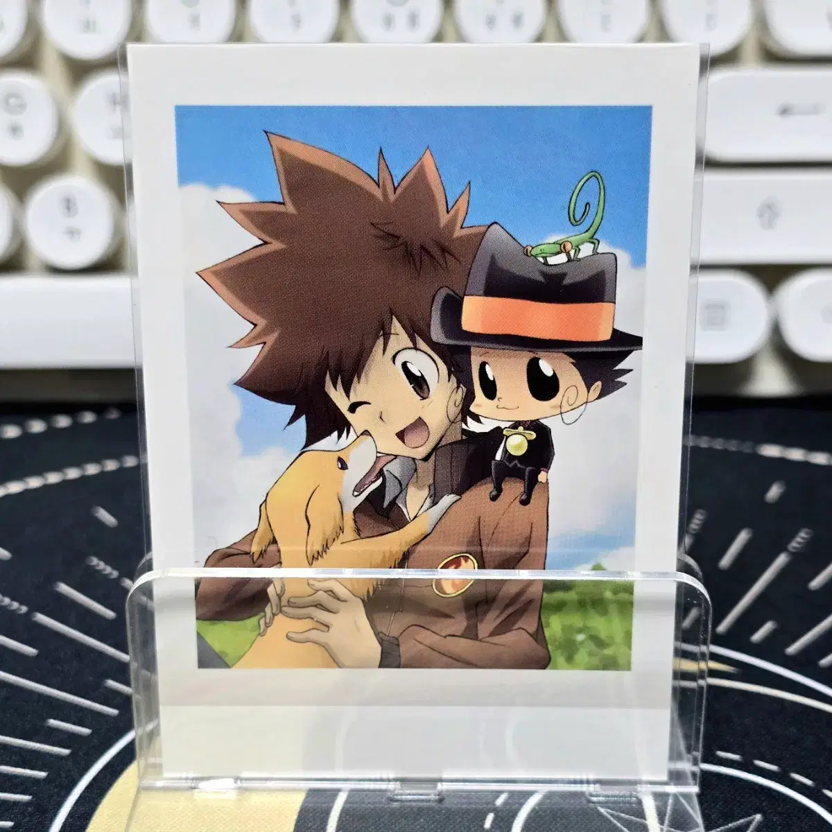 thumbnail-0